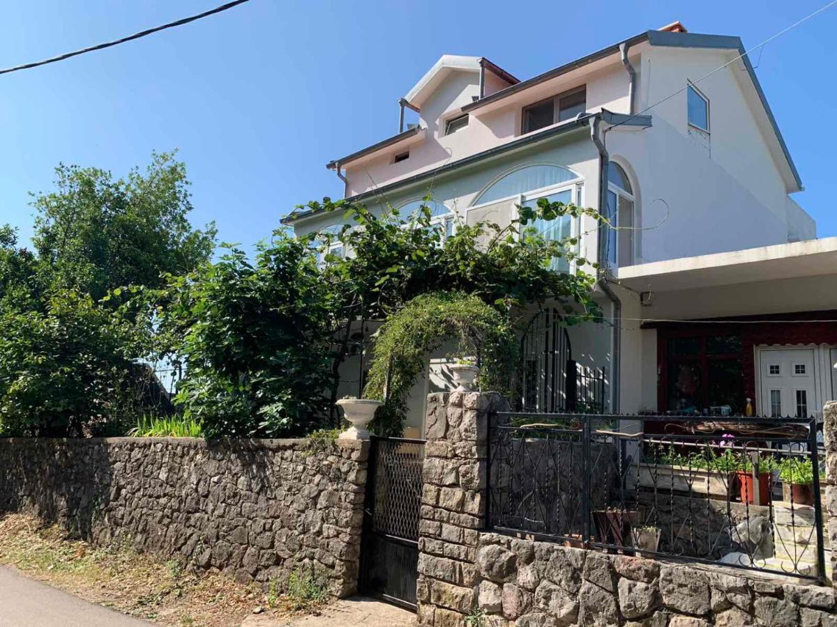 Vila Alexandria Διαμέρισμα Markovici Εξωτερικό φωτογραφία