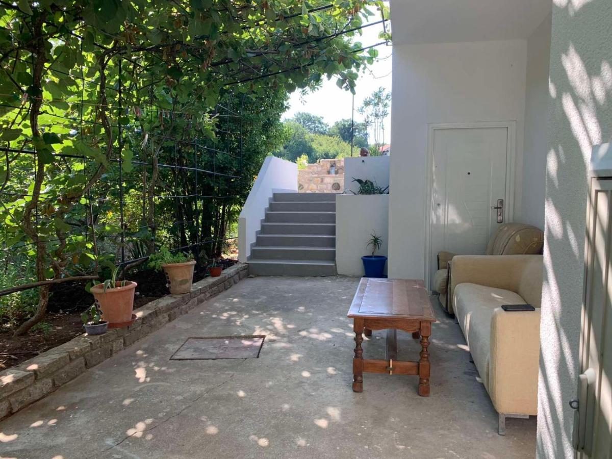 Vila Alexandria Διαμέρισμα Markovici Εξωτερικό φωτογραφία