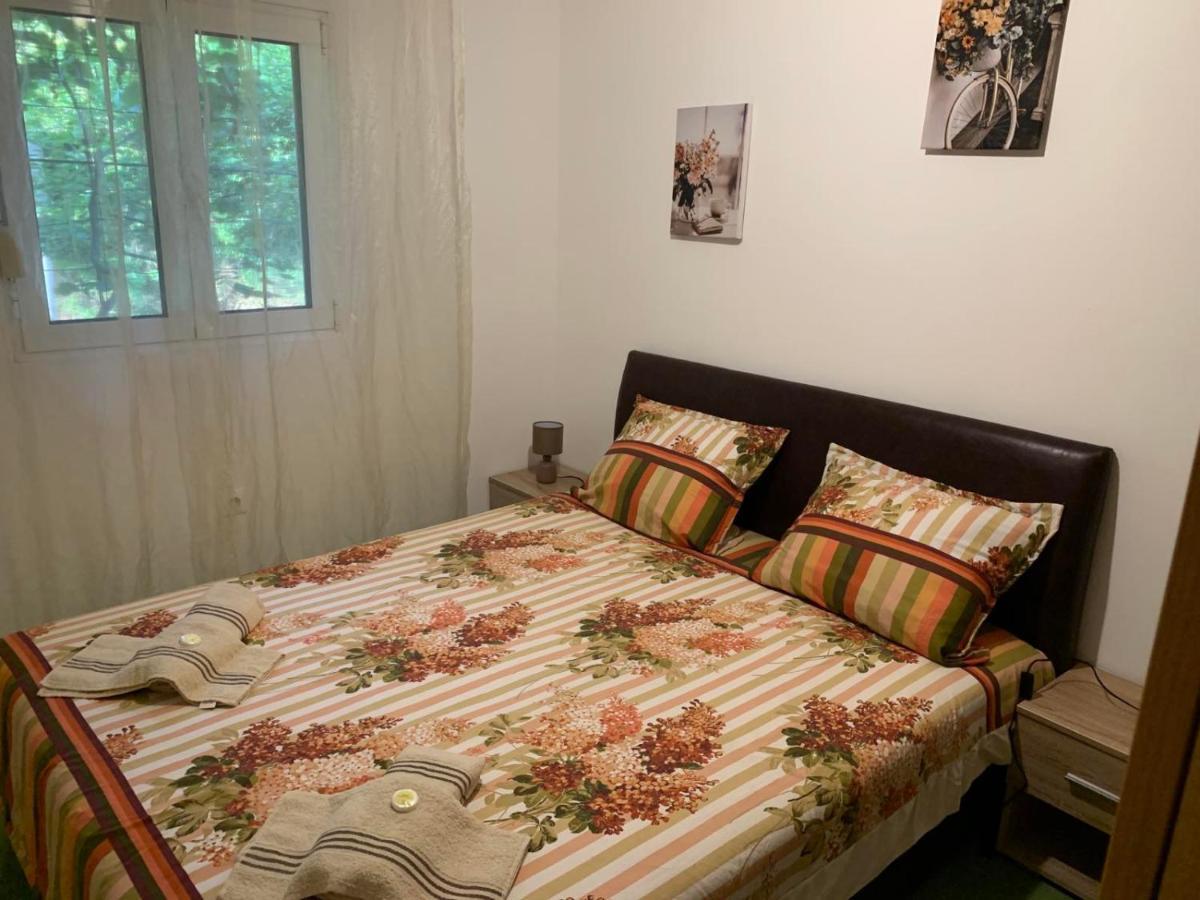 Vila Alexandria Διαμέρισμα Markovici Εξωτερικό φωτογραφία