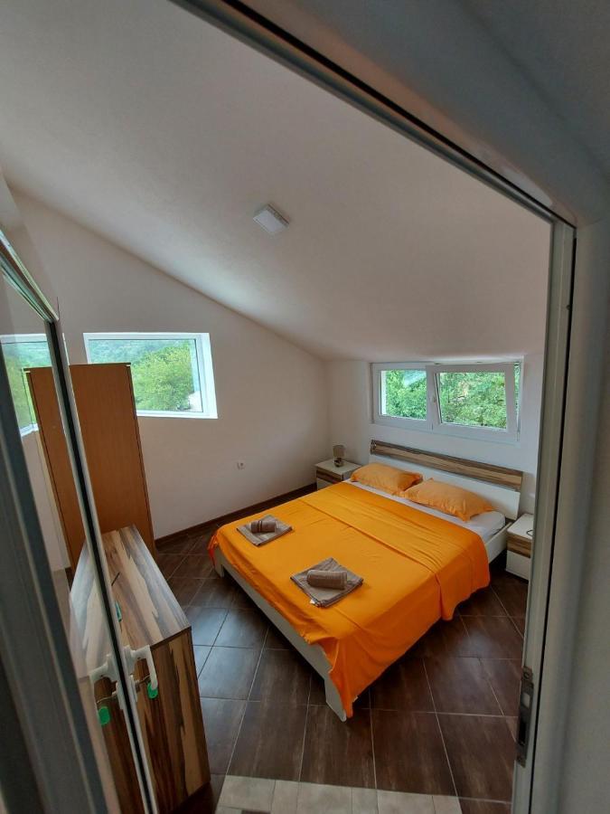 Vila Alexandria Διαμέρισμα Markovici Εξωτερικό φωτογραφία