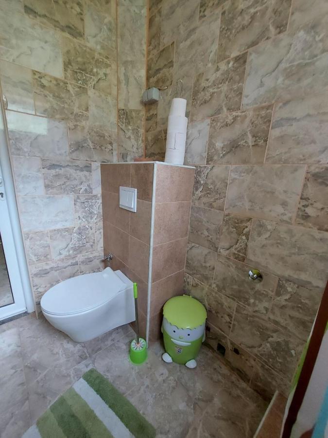 Vila Alexandria Διαμέρισμα Markovici Εξωτερικό φωτογραφία